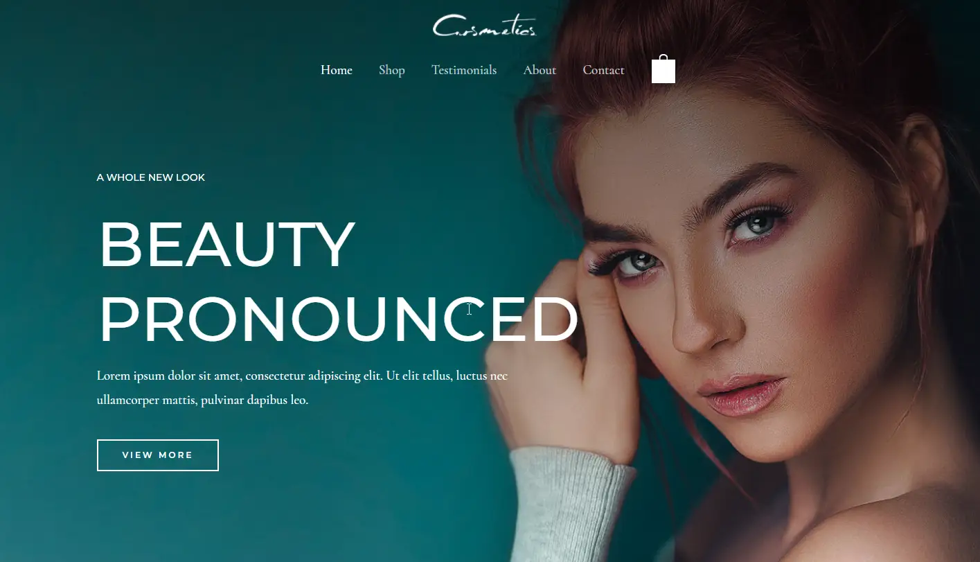 Business website design and development portfolio