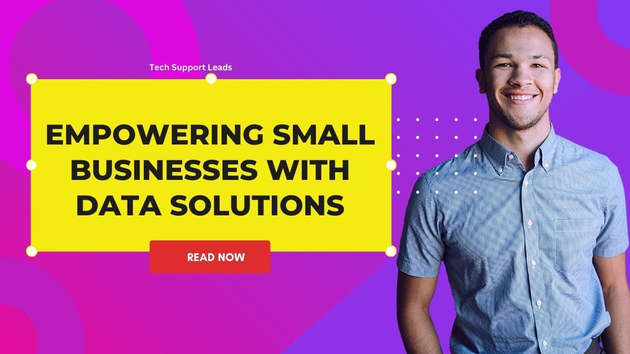 Empowering Small Businesses with Data Vendor